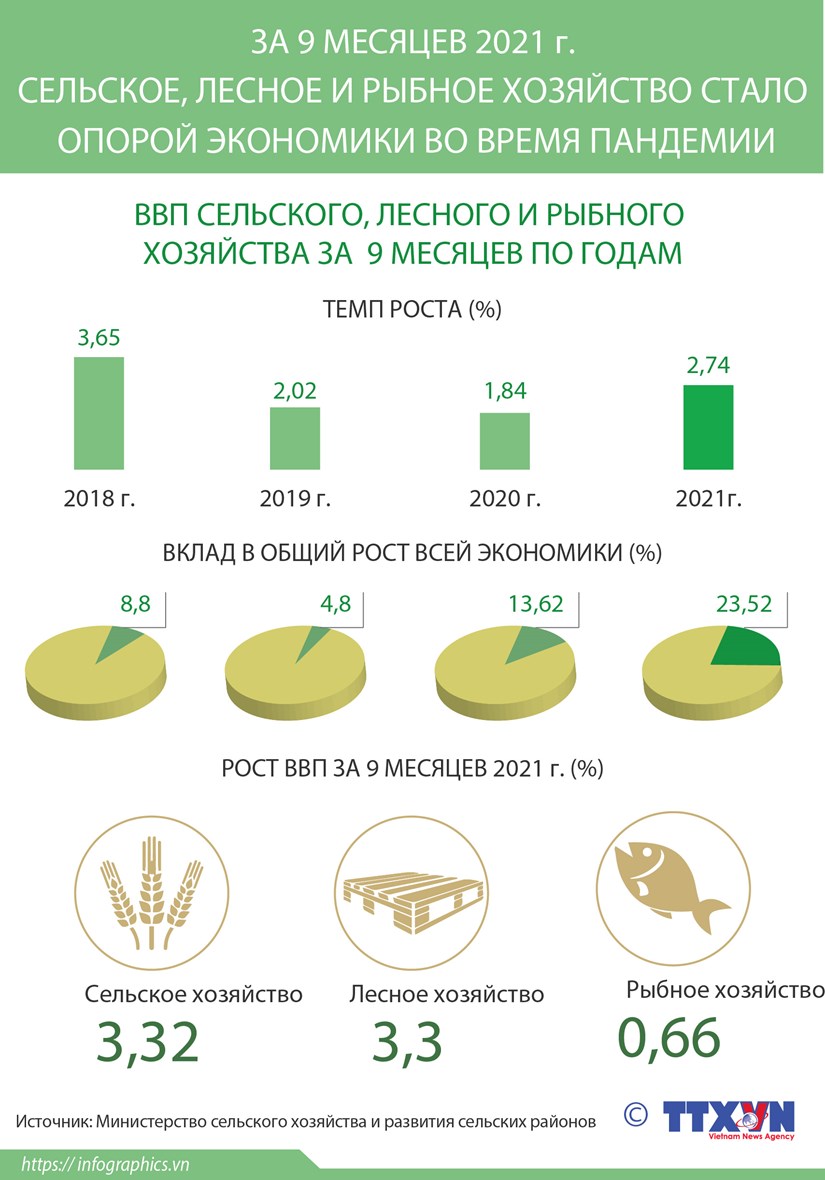 За 9 месяцев 2021 г сельское, лесное и рыбное хозяйство стало опорой экономики во время пандемии
