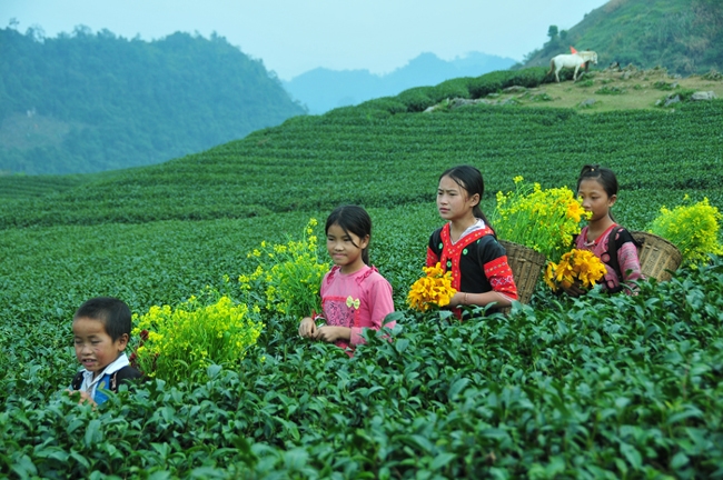 Мокчау - Идеальное туристическое место