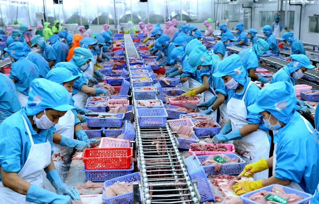 Экспорт морепродуктов в октябре увеличился на 47 по сравнению с прошлым месяцем