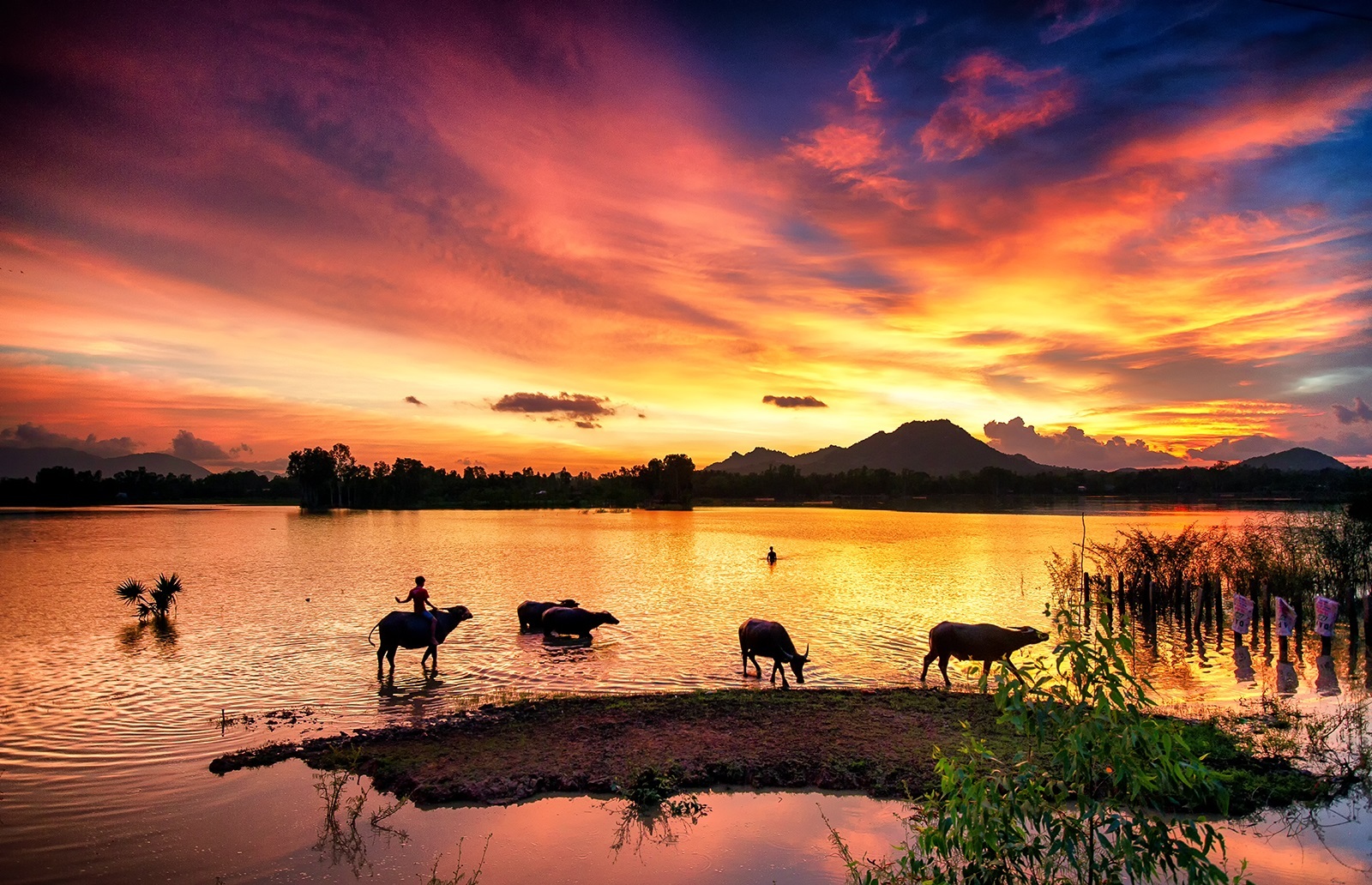 Красивые фотографии провинции Анзянг в сезон дождей