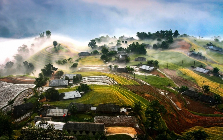 Красота сезона спелого риса на террасных полях Хоангсуфи