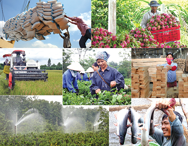 Сельское хозяйство Вьетнама сохраняет роль «опоры» экономики