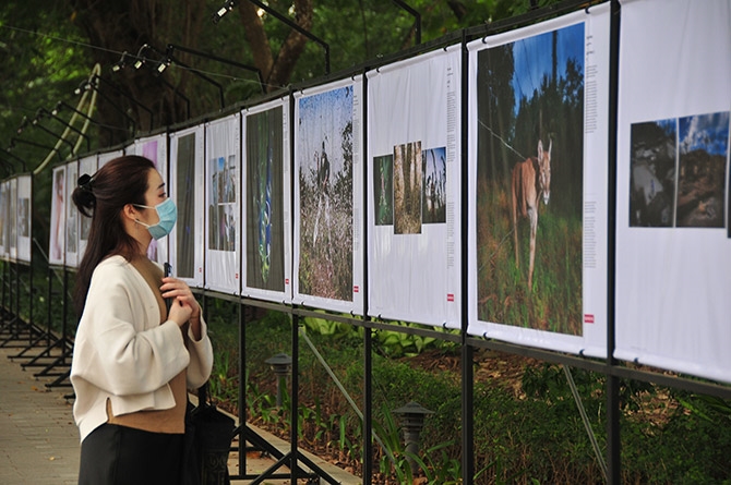 Впечатляющие моменты на выставке «Фото Мировой Прессы 2021 года»