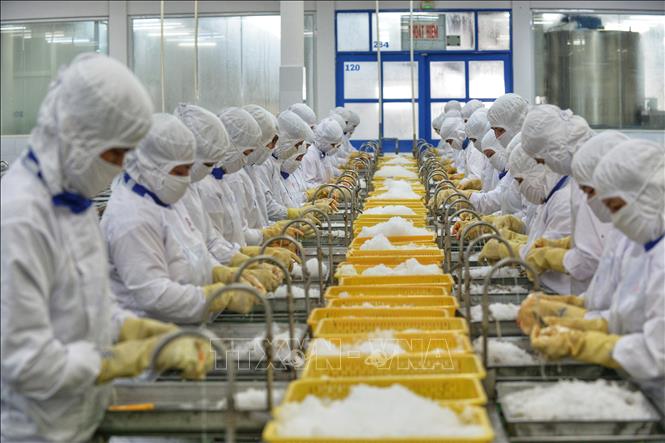 Международные СМИ отметили большие усилия Вьетнама по преодолению трудностей для восстановления экономики