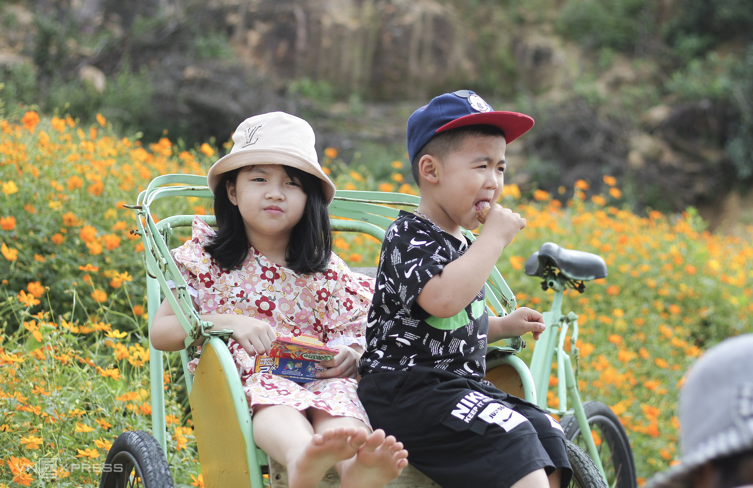 Цветник в провинции Биньдинь привлекает посетителей в начале года