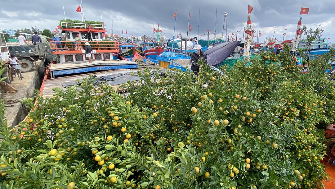 Жители острова Лишон с нетерпением ждут цветов к Тэту
