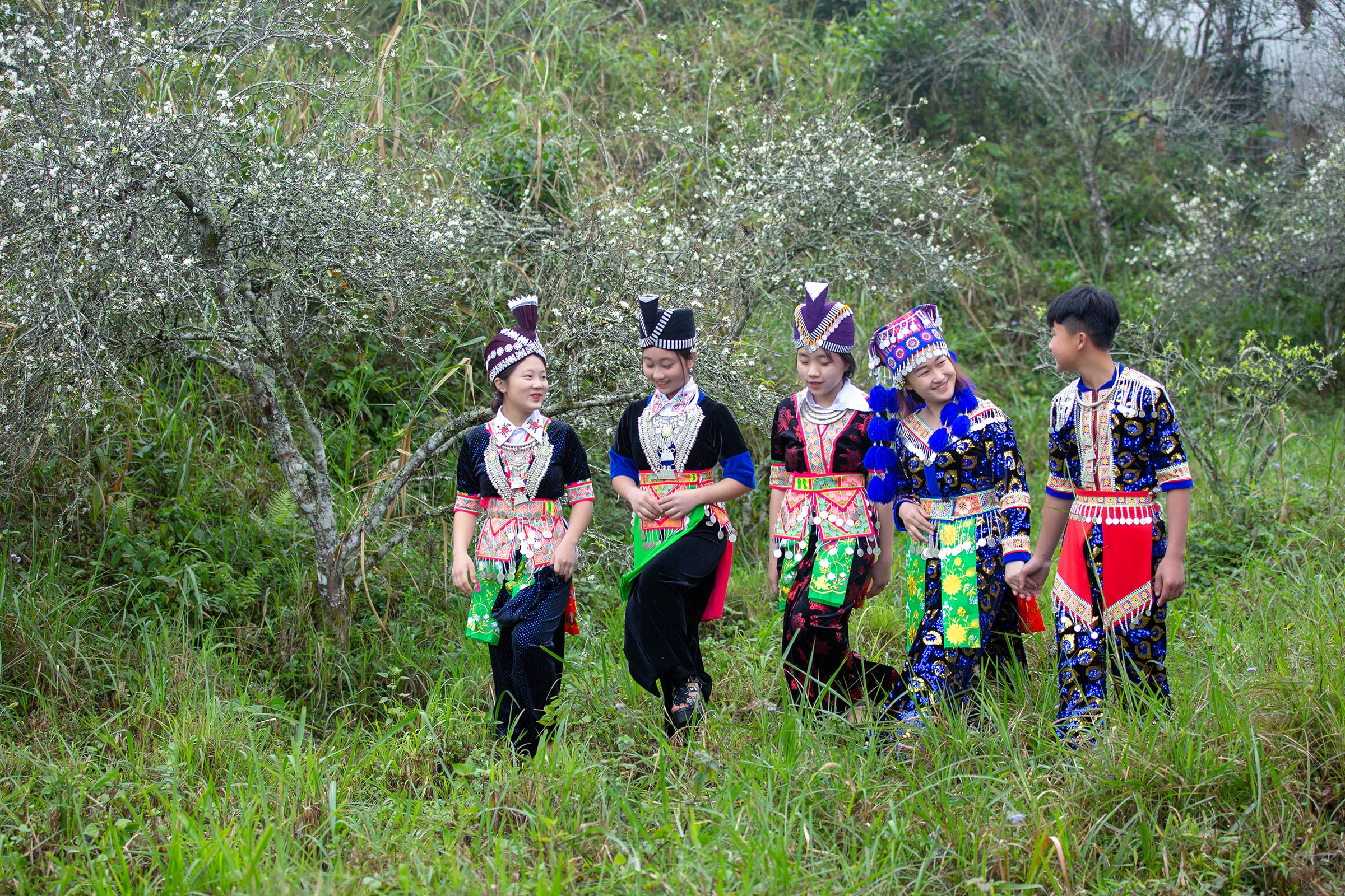 Долина Кишон встречает весну