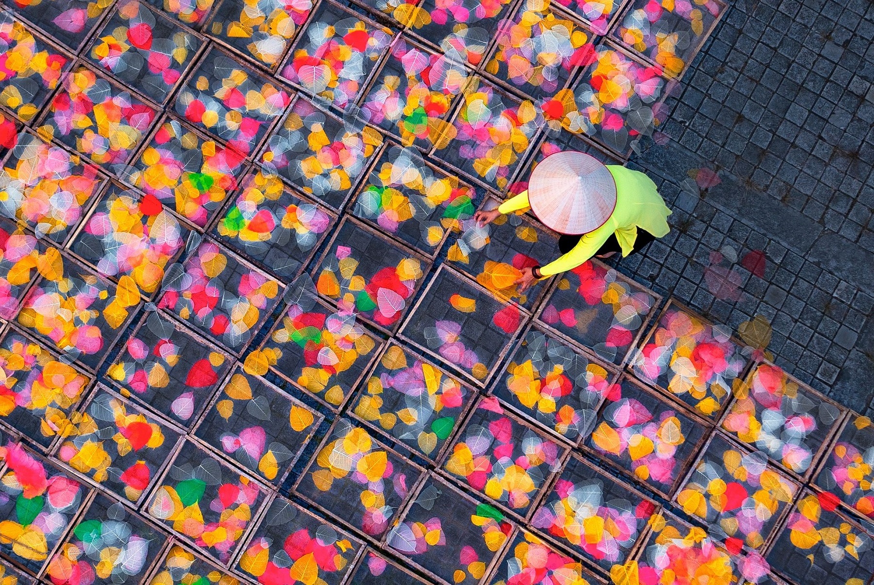 Весна во всех регионах Вьетнама