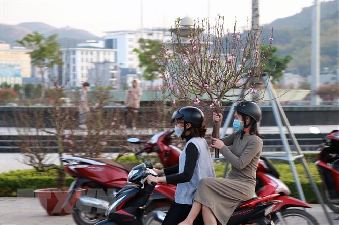 Пресс-конференция правительства – Максимально помочь людям вернуться домой на праздник Тет