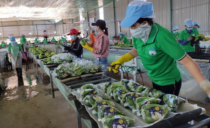Многие грузовики с сельхозпродукцией въехали в Китай раньше, чем ожидалось
