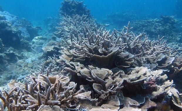 Утверждена национальная стратегия сохранения биоразнообразия до 2050 года