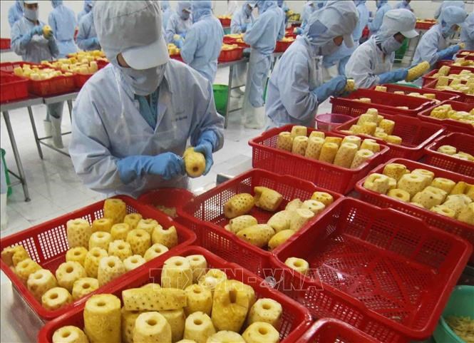 Открываются большие возможности для вьетнамской сельскохозяйственной, рыбной и пищевой продукции на японском рынке
