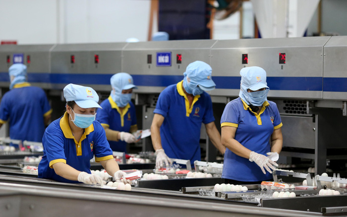 Обеспечение безопасности для восстановления и развития