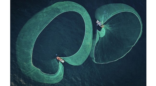 Вьетнамский фотограф выиграл приз на конкурсе «Подводный фотограф года»