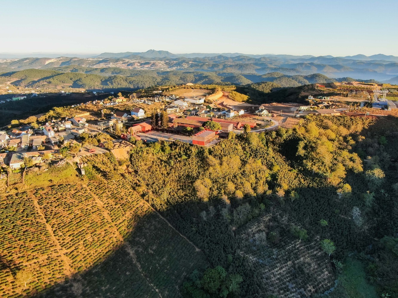 Далатский музей чая