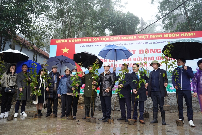 В Бави посадят 100 000 деревьев