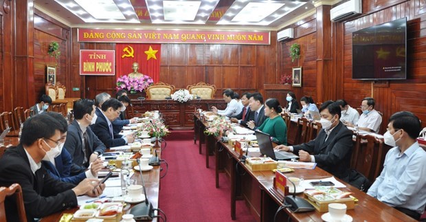 Японская компания ищет возможности для инвестиций в электроэнергетику на биомассе в провинции Биньфыок