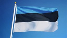 Поздравительные телеграммы от вьетнамских руководителей в связи с Днем независимости Эстонии