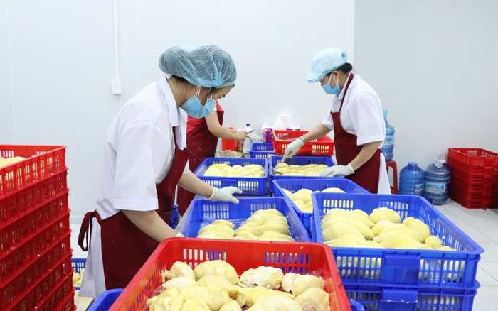 Экспорт сельхозпродукции из города Хошимина сильно растет