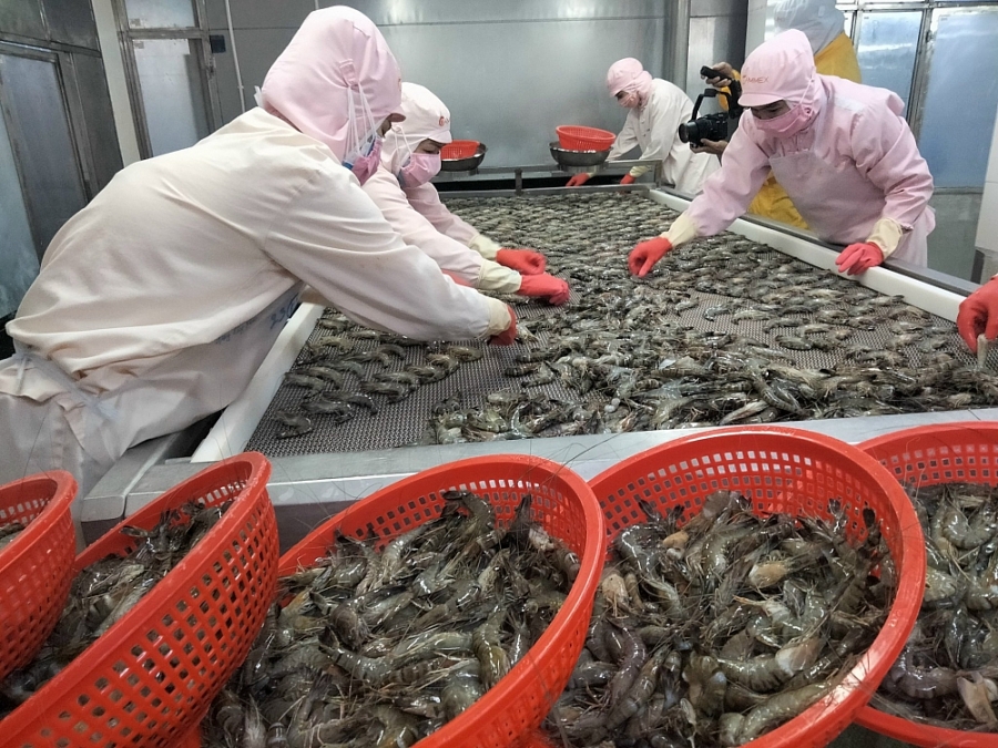 Экспорт морепродуктов продолжает расти на рынках с FTA