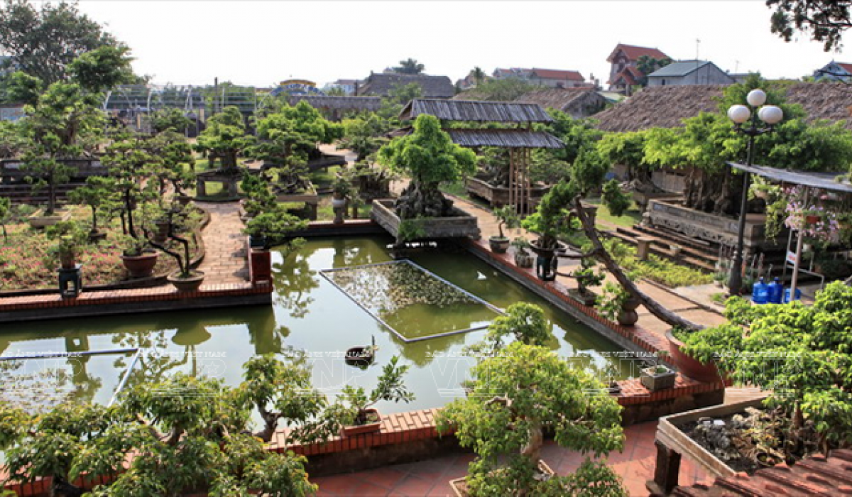 Деревня декоративных растений Хонгван