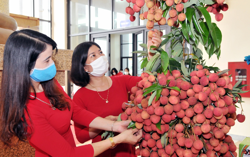 Создание карты сельскохозяйственной продукции Вьетнама