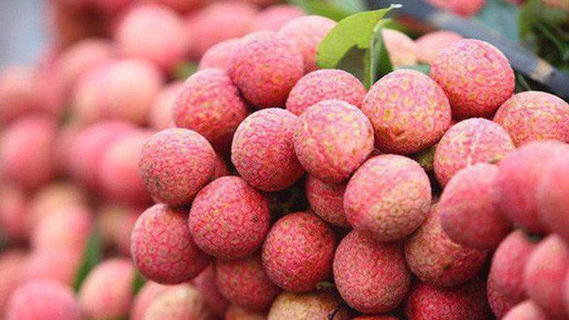 Повышение конкурентоспособности вьетнамского личи в США