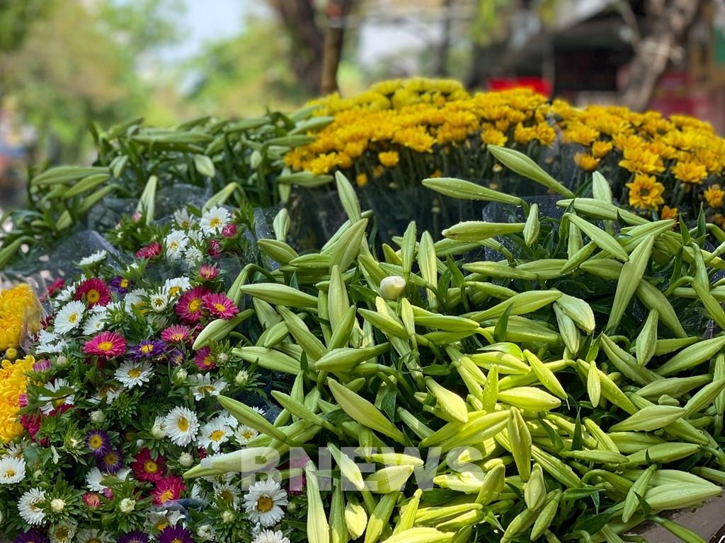 Лилии на улицах Ханоя