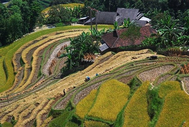 Eще два места в Хазянге были признаны объектами национального нематериального культурного наследия