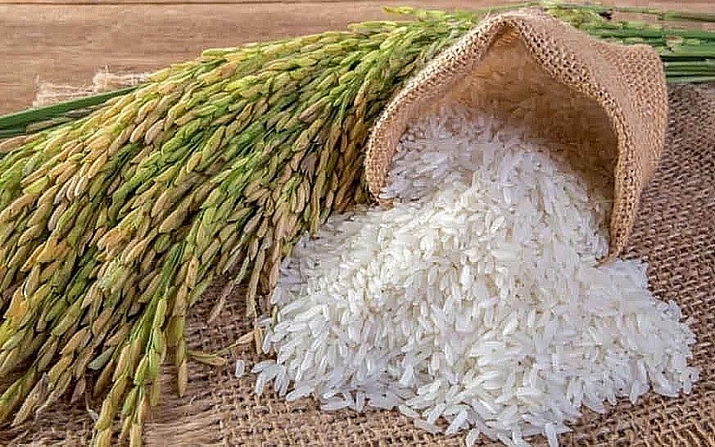 Экспортная цена на вьетнамский рис достигла трёхмесячных максимумов