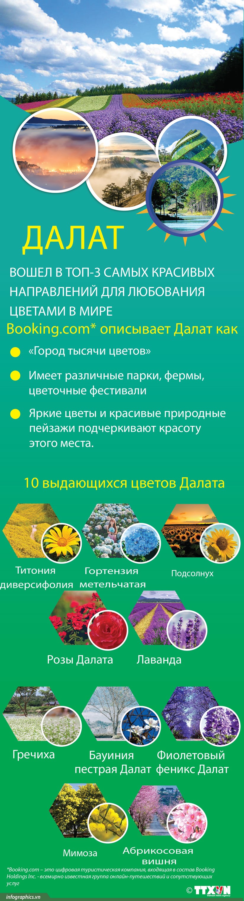 Далат вошел в топ-3 самых красивых направлений для любования цветами в мире