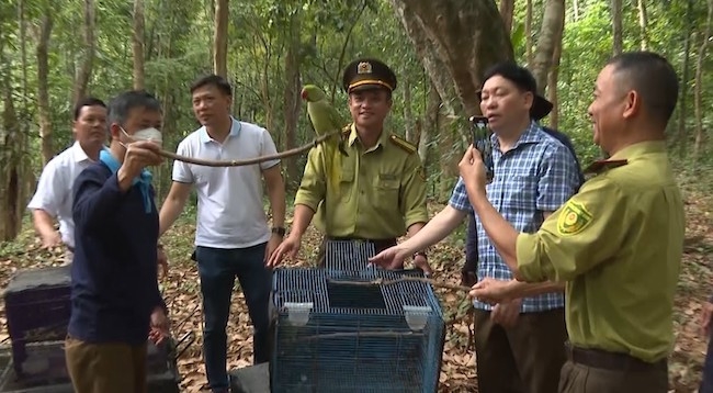 135 особей диких животных отпустили в природную среду в Куангбине