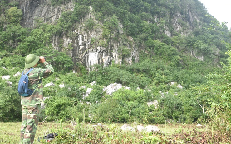 Волонтеры - защитники лангуров в провинции Куангбинь