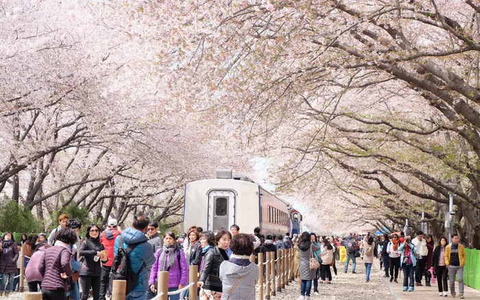 Увеличился спрос на выездной туризм у вьетнамских любителей путешествий