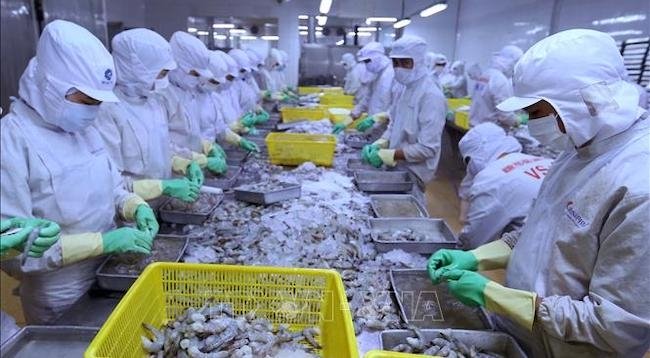 Расширение возможностей экспорта водной продукции на рынки ВРЭП