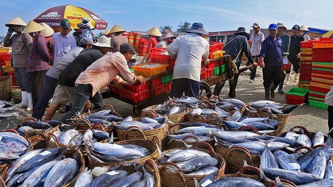 Экспорт морепродуктов из Вьетнама вырос на 25