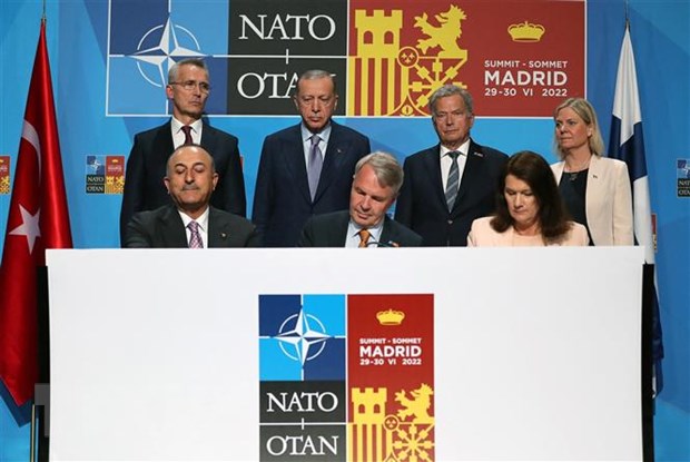 Финляндия и Швеция начали переговоры о присоединении к НАТО