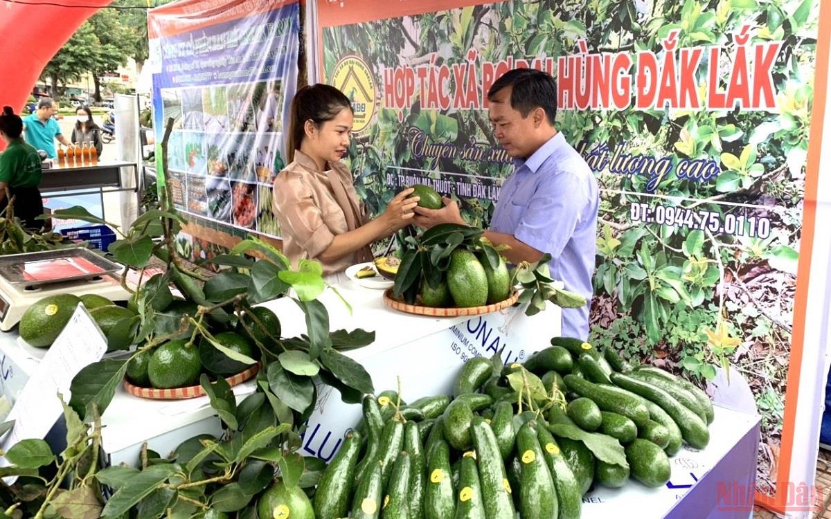 Содействие реализации специфических сельских продуктов из Центрального плато