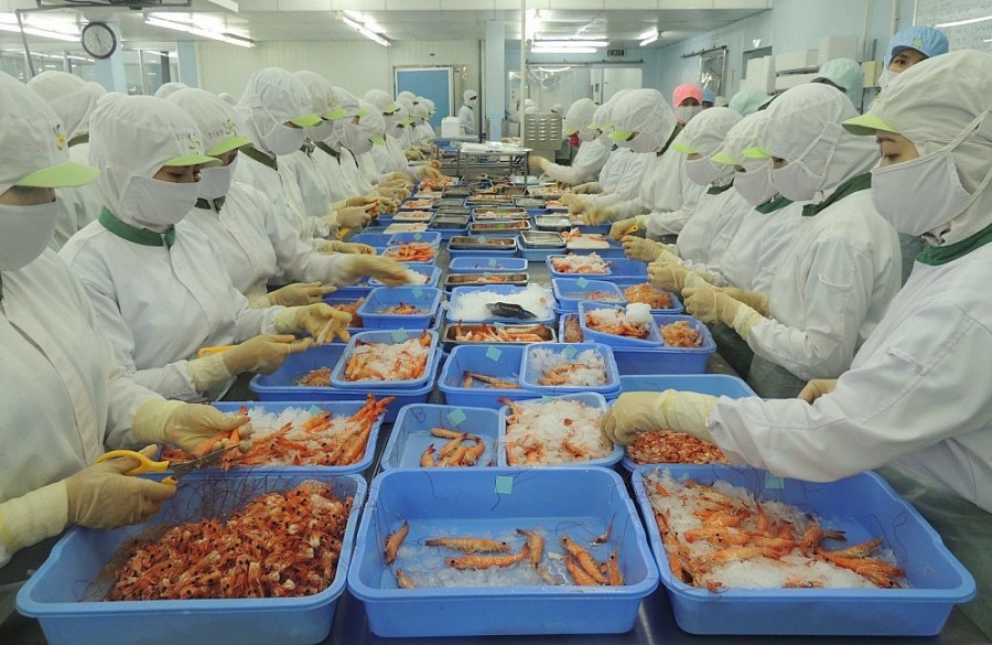 CPTPP способствует экспорту рыбной продукции из Вьетнама в Японию