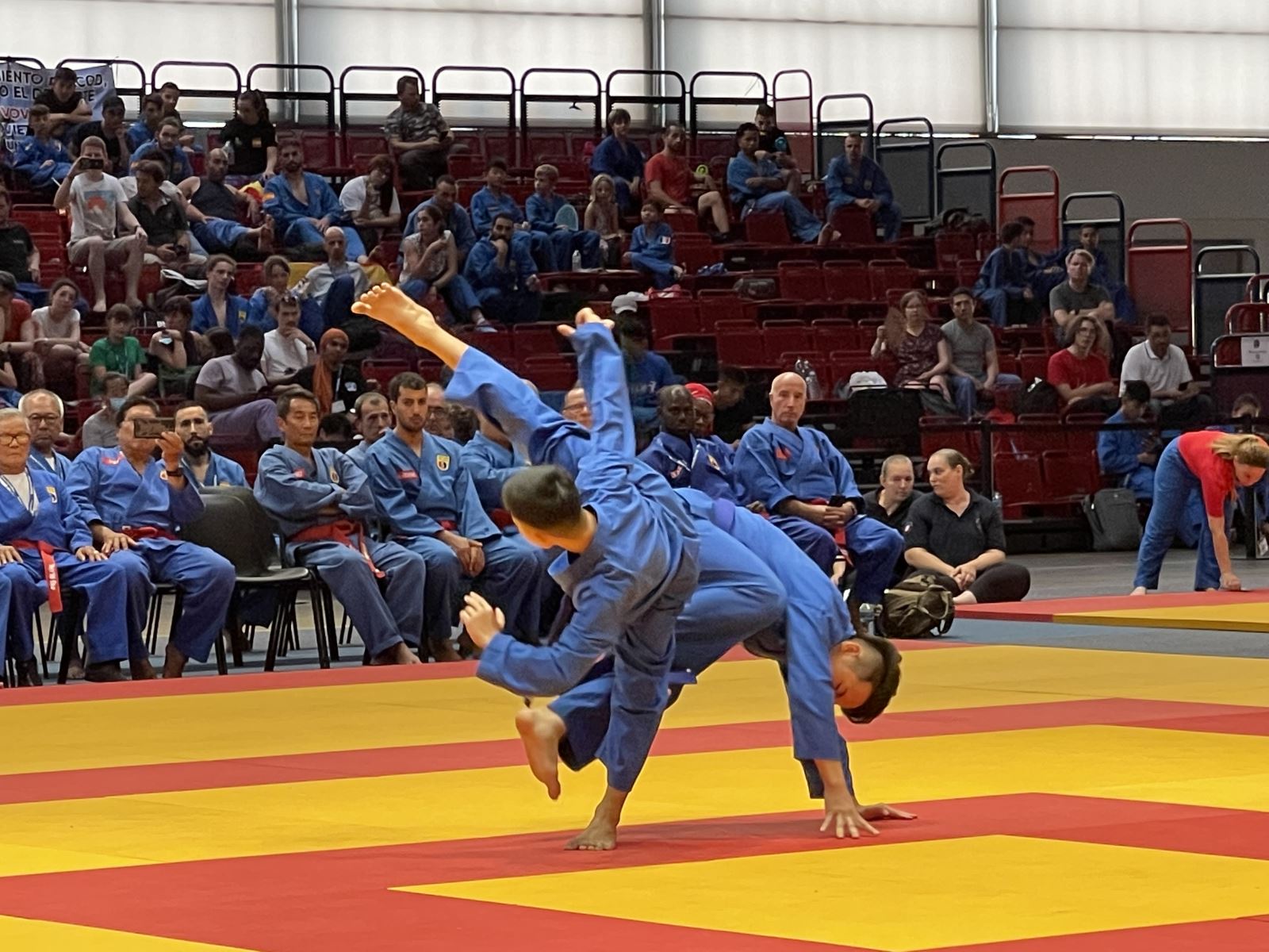 Вьетнам завоевал три золотые медали на 6-м чемпионате мира по вовинам