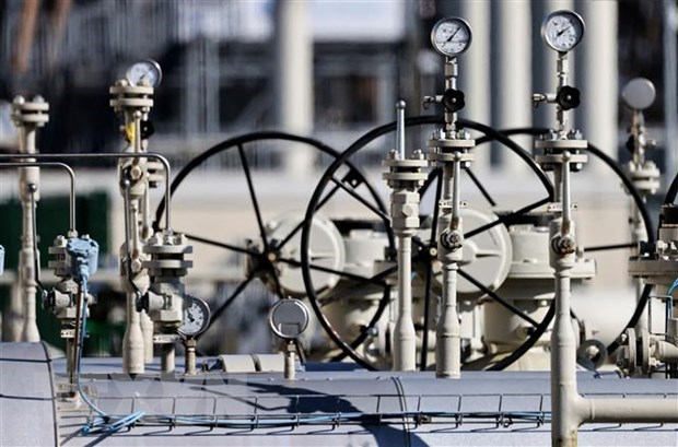 Франция выступила против введения в ЕС единых норм сокращения потребления газа