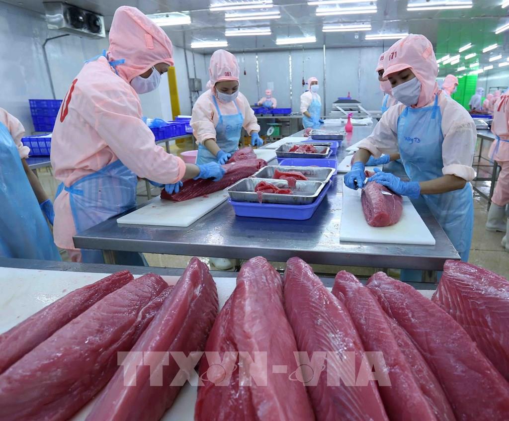 Экспорт тунца из Вьетнама во Францию вырос на 203 за 7 месяцев