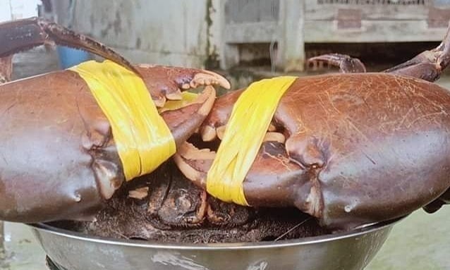 Экспорт краба из Вьетнама стремительно растет