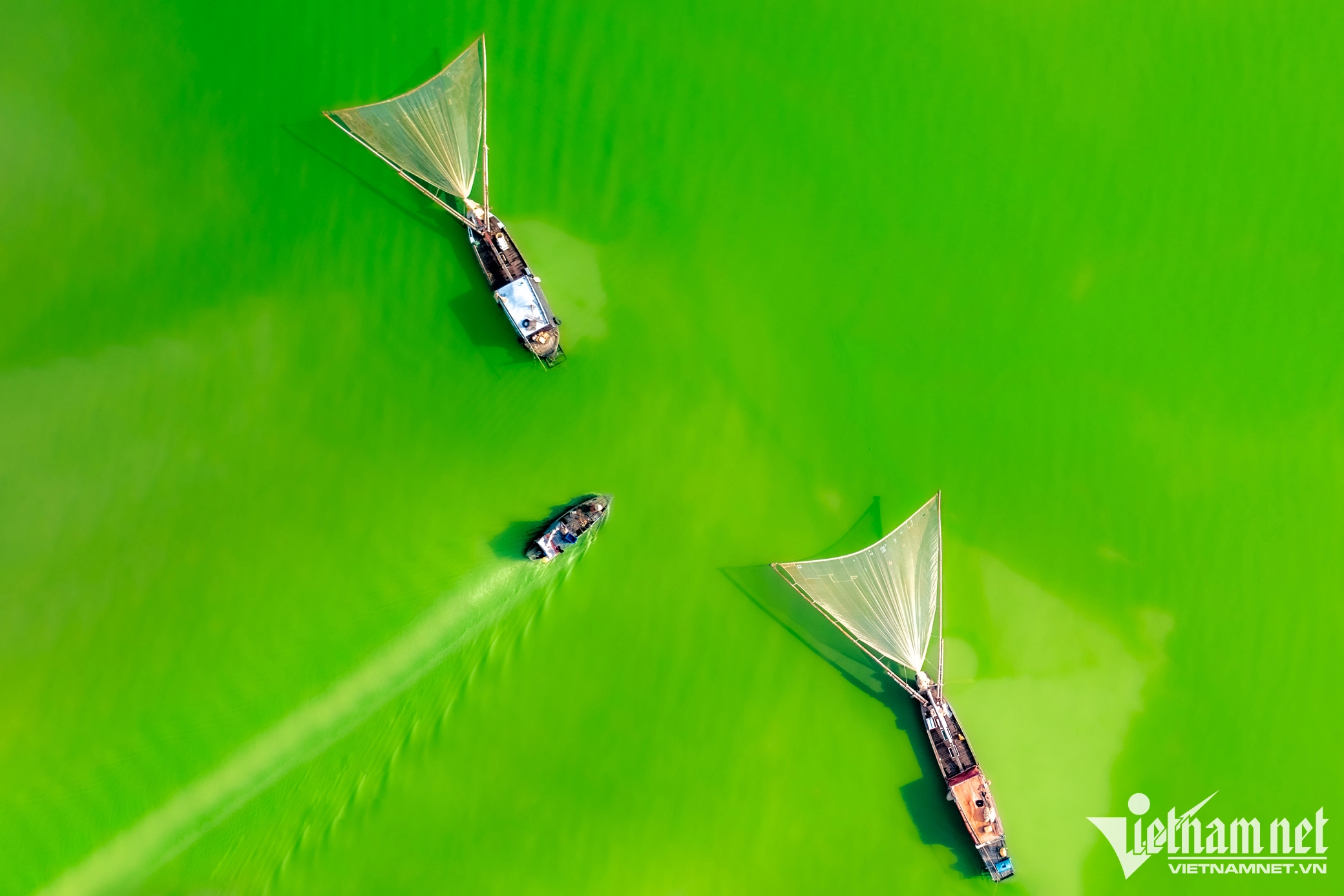 Сезон зеленых водорослей на озере Чйан