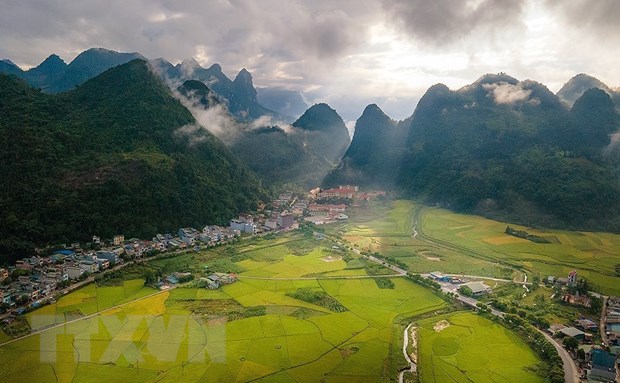 Сезон спелого риса в Мыонг Кхыонг – золотая шелковая полоса на границе страны