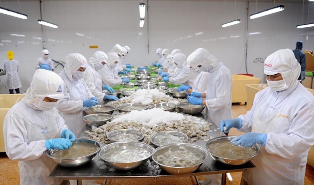 Экспорт морепродуктов в Россию резко увеличился с августа 2022 г