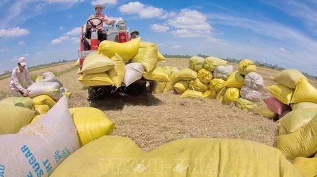 Сельскохозяйственный сектор сохраняет цель экспорта в размере 50 млрд долл США