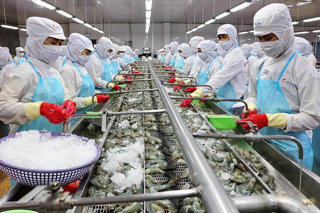 Экспорт морепродуктов в Россию быстро восстанавливается