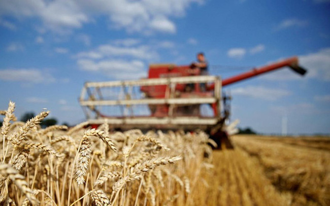 Мировые лидеры призывают принять срочные меры по обеспечению продовольственной безопасности