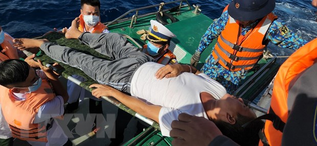 Доставка больного рыбка из Чыонгша на берег для лечения